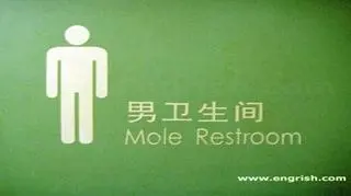 "Krecia toaleta" (fot. engrish.com)