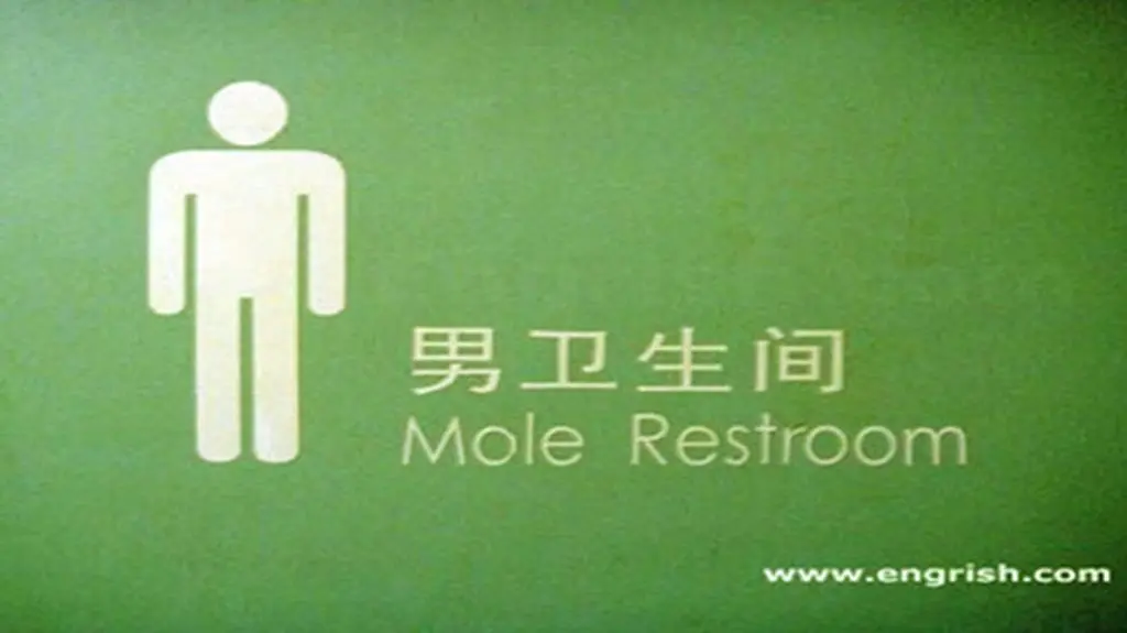 "Krecia toaleta" (fot. engrish.com)
