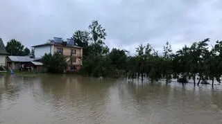 Krempachy zalane (Małopolskie, powiat nowotarski)