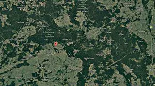 Krojanty znajdują się w pobliżu Borów Tucholskich