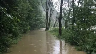 Krościenko nad Dunajcem (woj. małopolskie)