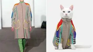 Książę Snowflake, czyli Pan Listopad, w płaszczu, który na wybiegu nosiła znana modelka