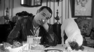 Kto jest większą gwiazdą w "Artyście" - Jean Dujardin czy Uggie? (fot