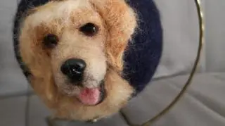 Kudłata bombka z golden retriverem
