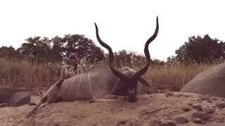 Kudu to pierwsza ofiara fanki safari 