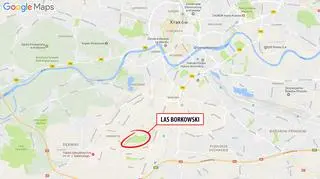 Las Borkowski to jeden z większych terenów zielonych w południowej części Krakowa