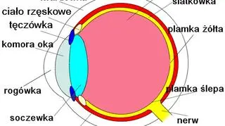 Laser usuwa pigment na powierzchni tęczówki (fot. Wikipedia)