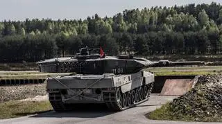 Leopard na pozycji ogniowej