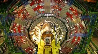LHC wygląda bardzo zagadkowo