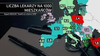 Liczba lekarzy na 1000 mieszkańców