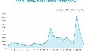 Liczba wpisów o uchodźcach w listopadzie