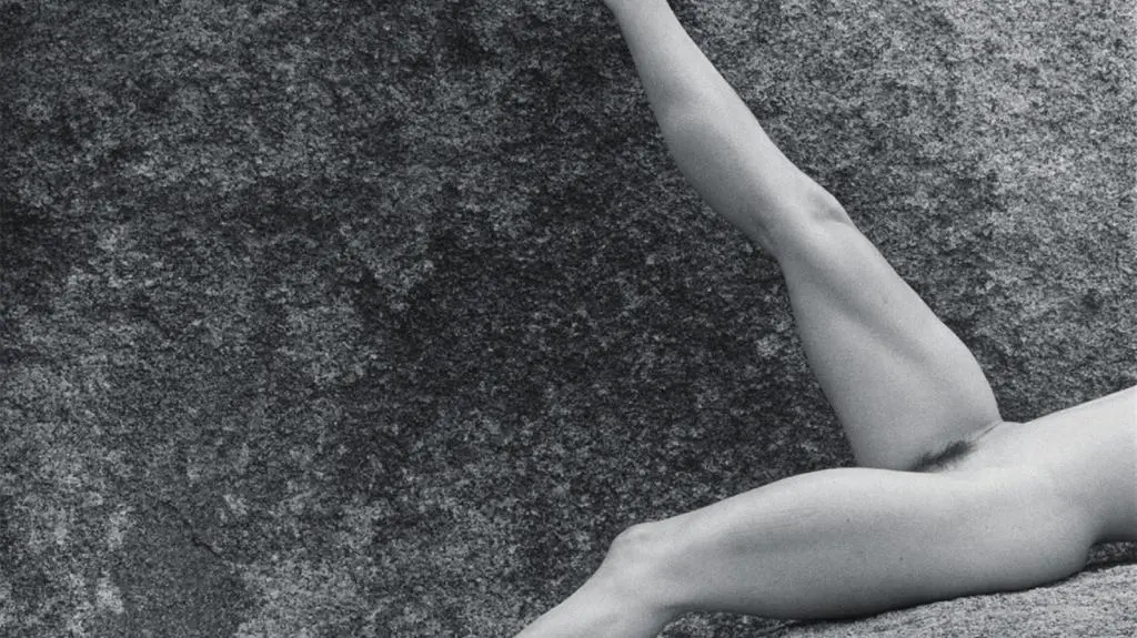 Lisa Lyon, 1980