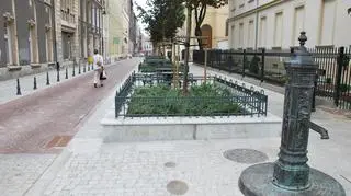 Łódź, ul. Piramowicza