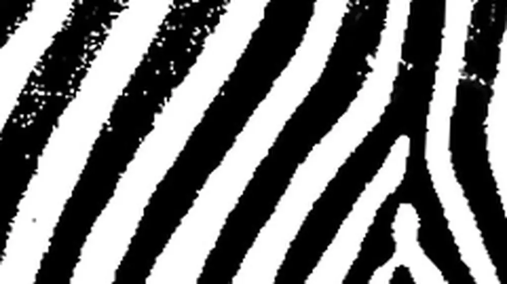 Logo festiwalu