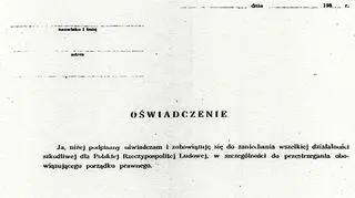 Lojalka - wzór/archiwum TVN24