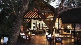 Londolozi to cztery luksusowe obozy: Varty Camp, Pioneer Camp, Tree Camp (na zdjęciu) i Founders Camp, a także trzy apartamenty z basenami - Private Granite Suites