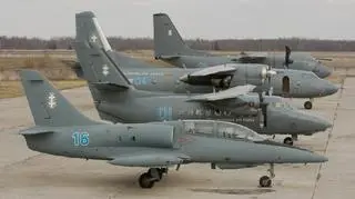 Lotnictwo litewskie to kilka starych maszyn