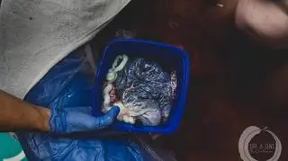 Łożysko w pojemniku na odpady