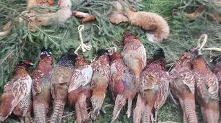 Ludzie różnie reagowali na taką prezentację