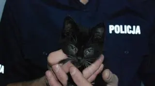 Ma uczulenie na sierść ale adoptował kotka, którego uratowali podczas interwencji