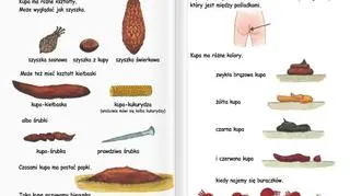 "Mała książka o kupie" kilka lat po publikacji budzi emocje