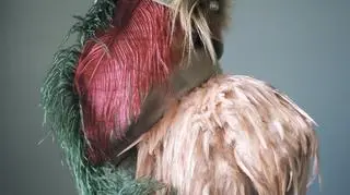 Marie Hudelot, The Legacy, camouflageauxplumes, Grand Prix Fotofestiwal 2014