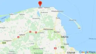 Martwa foka leży na plaży w Dębkach