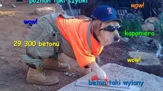 Mem Anny Kolmus