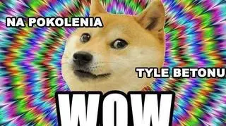 Mem Błażeja Szydzisza