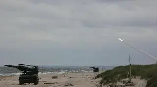 Mewa na poligonie w Ustce