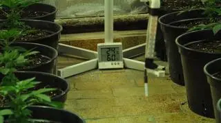 Męzcyzzna dysponował odpowiednią aparaturą