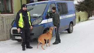 Mężczyzna przyznał się, że nie posiada zezwolenia na posiadanie psów