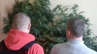 Mężczyzna trafił do policyjnego aresztu