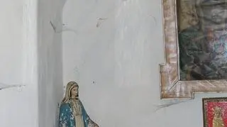 Miejsca które ta małe ssaki upodobały sobie na siedliska mogą liczyć na fundusze