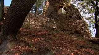 Miejsce w którym doszło do wypadku