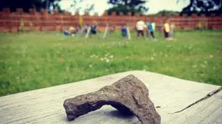 Miniaturowy toporek to rzadkie znalezisko 