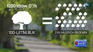 Młode drzewa produkują znacznie mniej tlenu niż stare