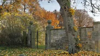 Modelka ukryta wśród liści