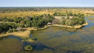 Mombo Camp & Little Mombo Camp znajduje się na rozlewiskach Delty Okawango