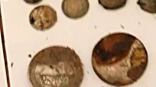 Monety znalezione pod drzewem, gdzie ukrytych pamiątek chcieli szukać obywatele Niemiec