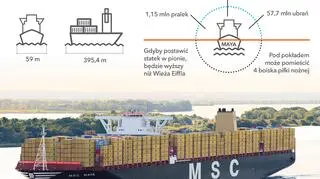 MSC Maya została wybudowana w 2015 roku