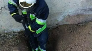 Musieli wykopać otwór żeby wydostać kota