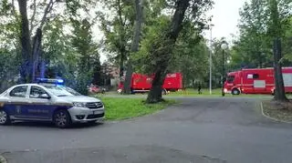 Na miejscu działała straż miejska i pożarna