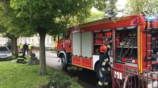 Na miejscu pracuje 8 zastępów straży pożarnej