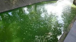Na pierwszy rzut oka można nie dostrzec dziwnej barwy potoku 