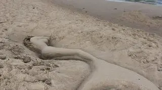 "Na początku myślałem, że to jakieś ciało na plaży" 