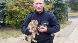 Na razie koty przygarnął policjant 