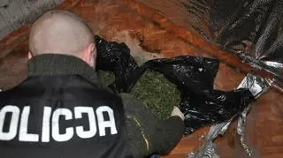 Na strychu domu urządzona była plantacja nielegalnych roślin (fot. Policja w Olsztynie)