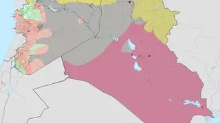Na szaro tereny kontrolowane przez tzw. Państwo Islamskie