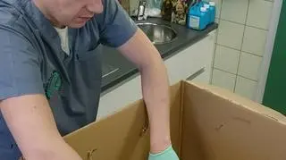 Na szczęście boćkowi udało się pomóc